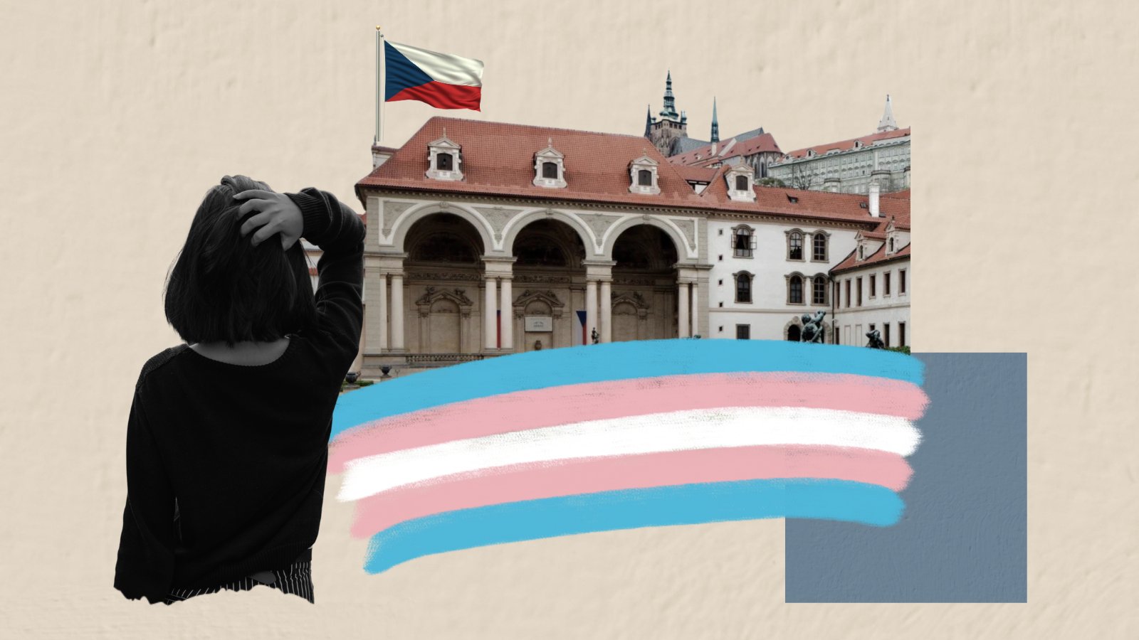 Roky neistoty, byrokracia a konverzné praktiky: Českí senátori navrhujú obmedzenie prístupu k tranzíciám